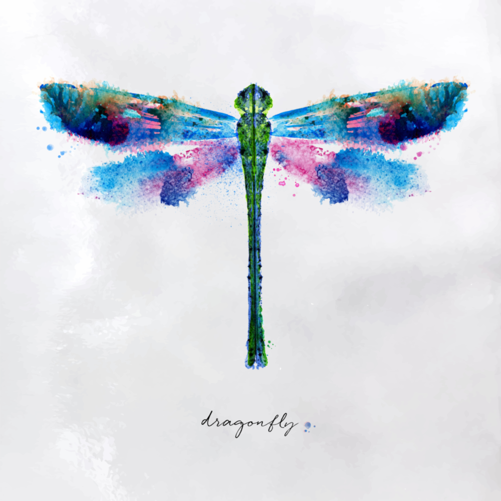 Arte della parete di vetro Libellula