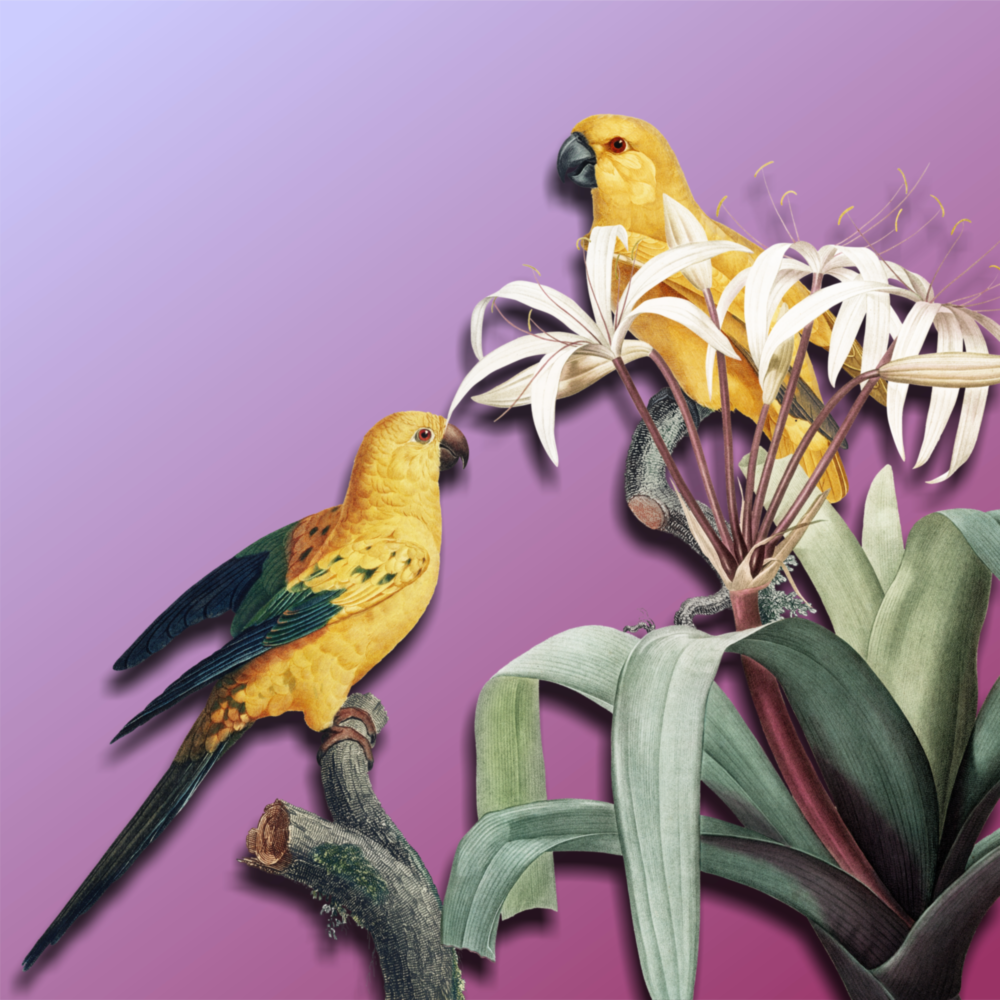 Arte de pared de vidrio de Loro