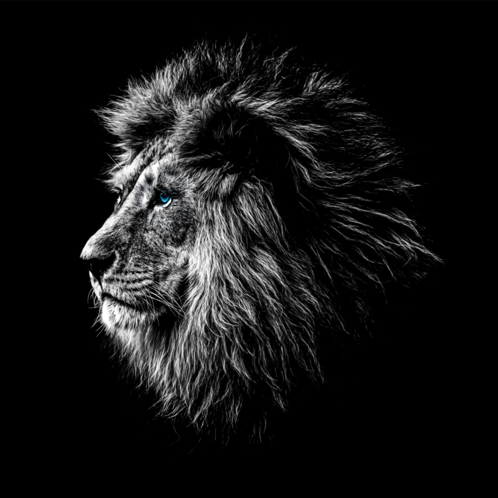 Arte de pared de vidrio de León