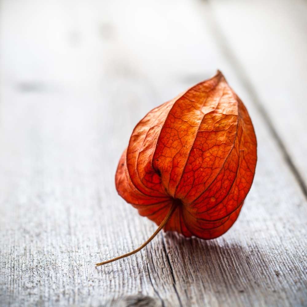 Feuille de séchage Impression sur verre