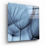 Dandelion Tranquility Glass Wall Art - 40x40 cm