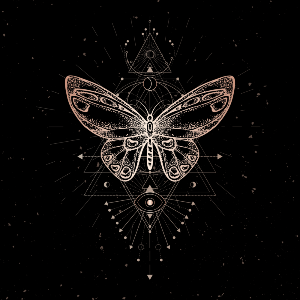 Arte della parete di vetro Butterfly in stile da Vinci