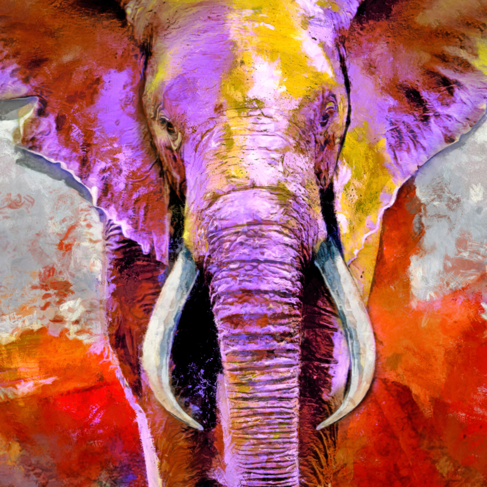 Arte della parete di vetro Elefante colorato
