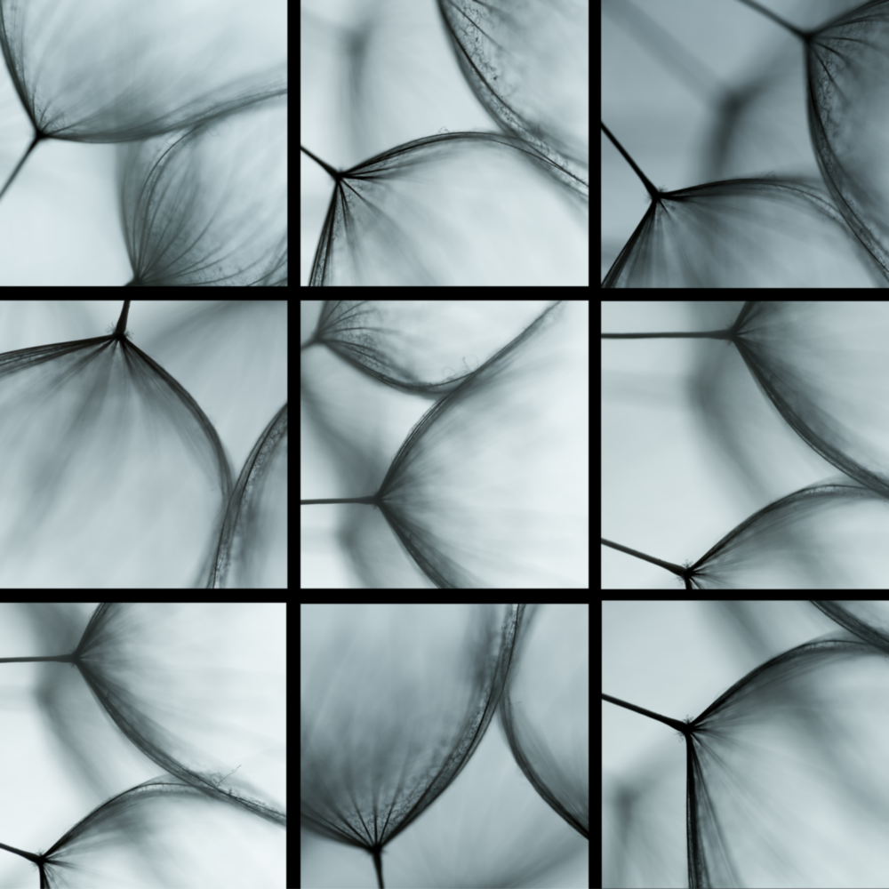 Arte della parete di vetro BEE EYE DANDELION