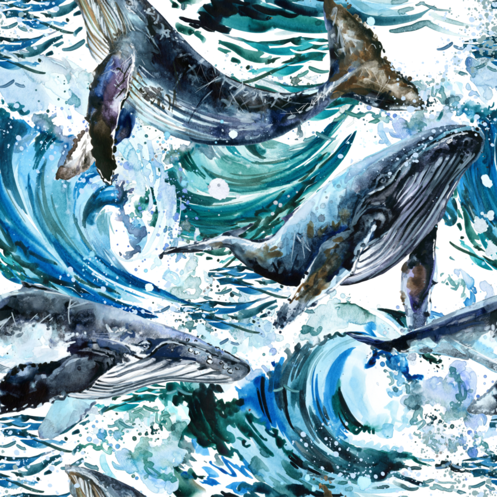 Danse des baleines Impression sur verre