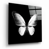 Weiße Flügel auf Schwarz Schmetterling Glasbild - 40x40 cm
