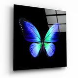 Farfalla con Ali Blu Cobalto e Verde quadro in vetro - 40x40 cm
