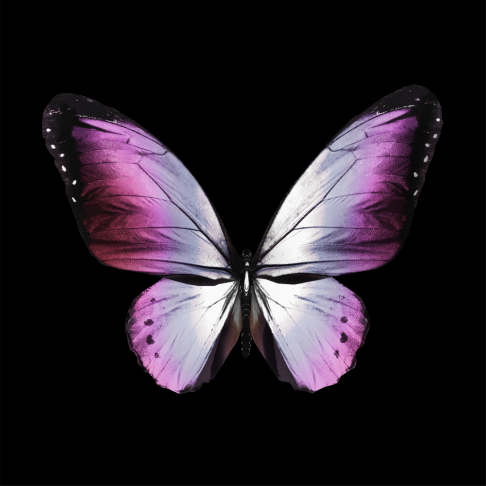 Arte della parete di vetro L'eleganza della farfalla