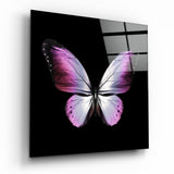 Pinke und Violette Flügel Schmetterling Glasbild - 40x40 cm