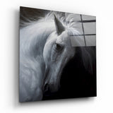 Windzerzaustes Weißes Pferd Glasbild - 40x40 cm