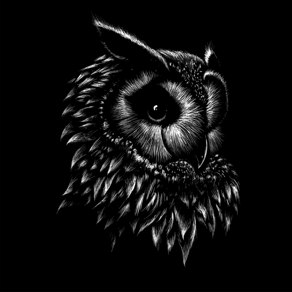 Arte della parete di vetro Gufo