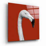 Testa di Fenicottero Bianco Quadrato Rosso quadro in vetro - 40x40 cm