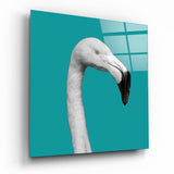Tête de Flamant Blanc Carré Turquoise tableau en verre - 40x40 cm