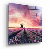 Quadro in vetro Campo di tulipani - 40x40 cm