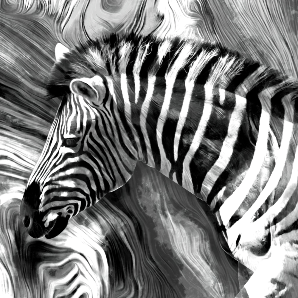 Arte della parete di vetro Zebra