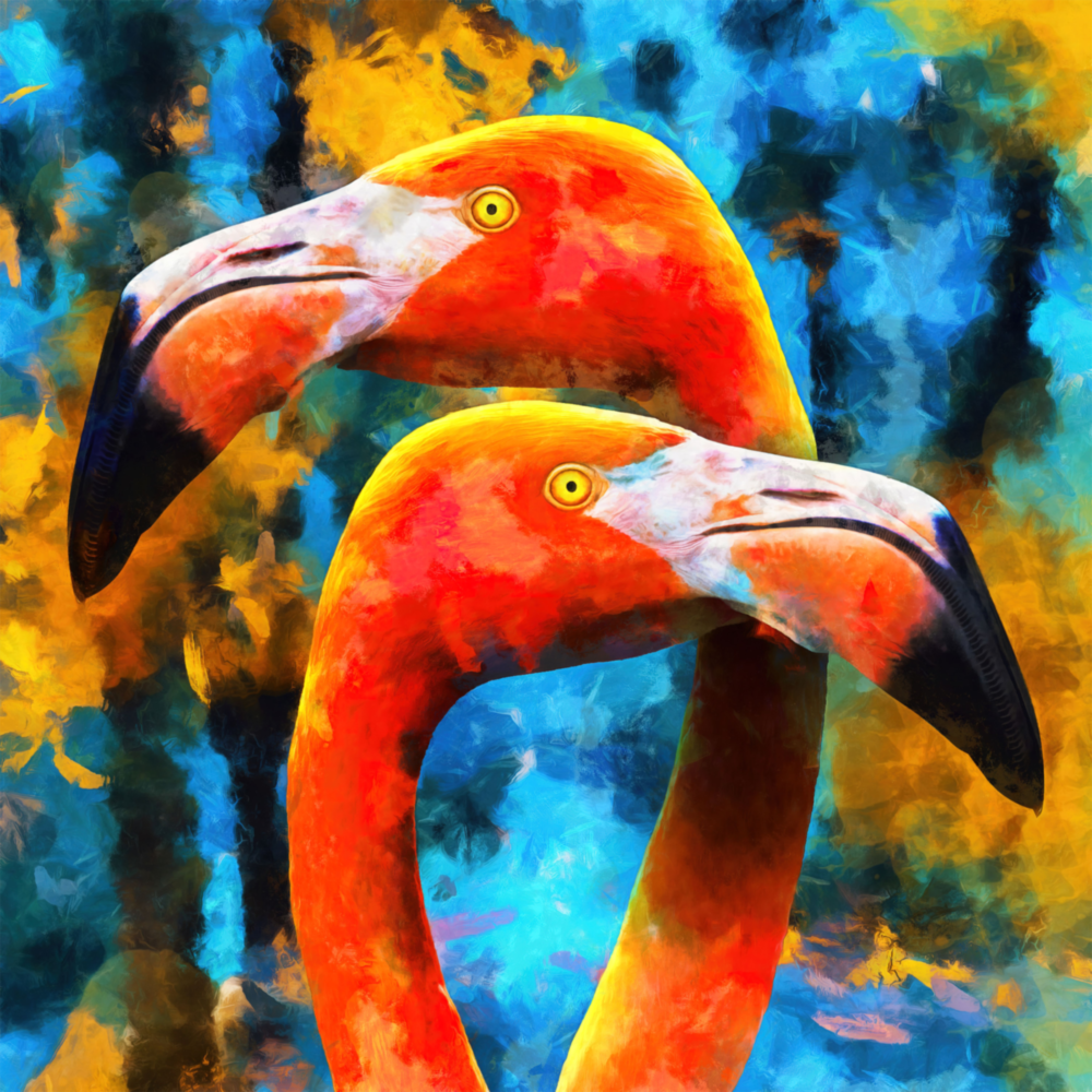 Flamants Impression sur verre