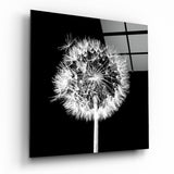 Soffione Bianco Quadrato Nero quadro in vetro - 40x40 cm