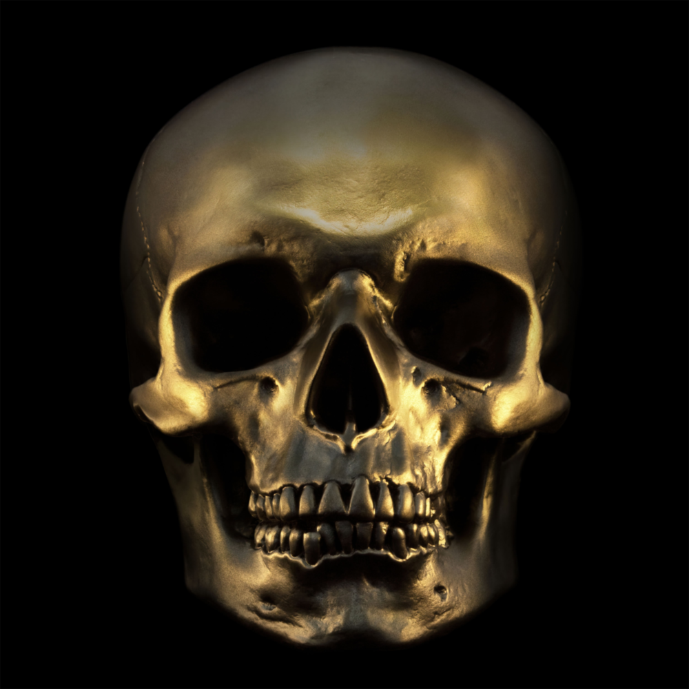 Skull Glass Wall Art