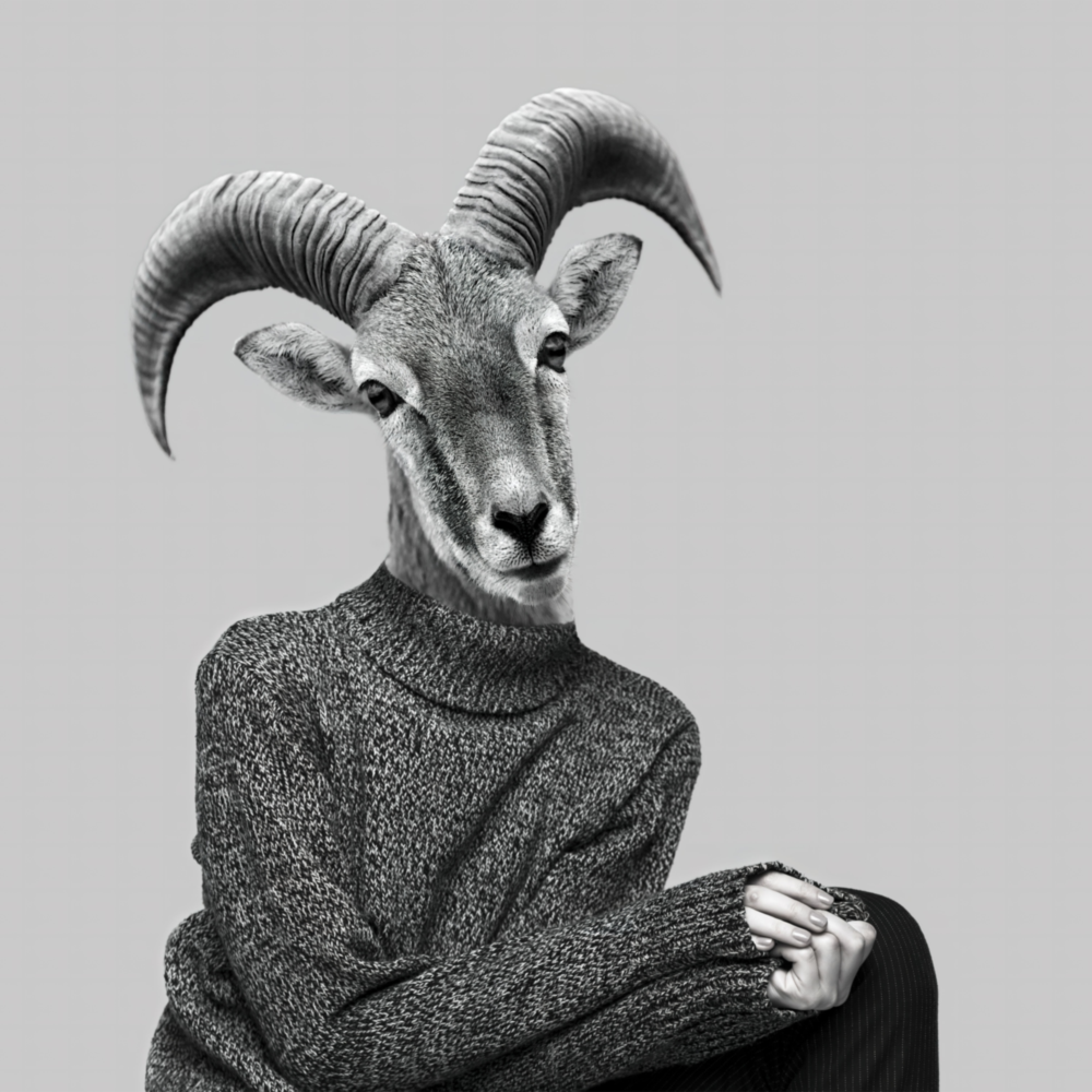 Dame antilope Impression sur verre