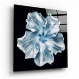 Icy Blue Hibiscus Glass Wall Art - 40x40 cm