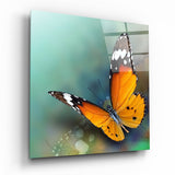 Orangener Schmetterling auf Petrolblau Glasbild - 40x40 cm