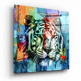 Zweifarbiges Tigergesicht Glasbild - 40x40 cm