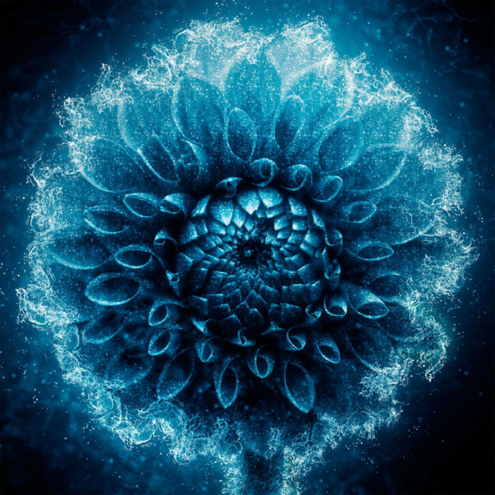 Arte della parete di vetro Fiore