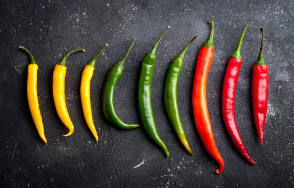 Arte della parete di vetro Pepe