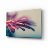 Petali di Gerbera Rosa Tenue quadro in vetro - 72x46 cm