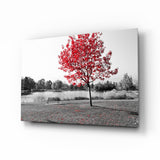 Albero Rosso Solitario con Panchina quadro in vetro - 72x46 cm
