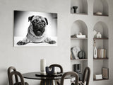 Pug Glass Wall Art.