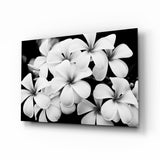 Monochrome Plumeria Cluster Glass Wall Art - 72x46 cm