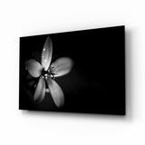Fleur Sombre et Mélancolique avec Rosée tableau en verre - 72x46 cm