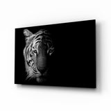 Tigre Blanco Medio en la Sombra cuadro de cristal - 72x46 cm
