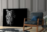 Tiger Glass Wall Art.