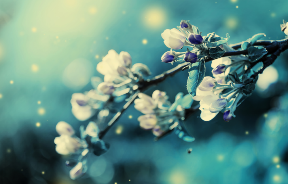 Arte della parete di vetro Fiore