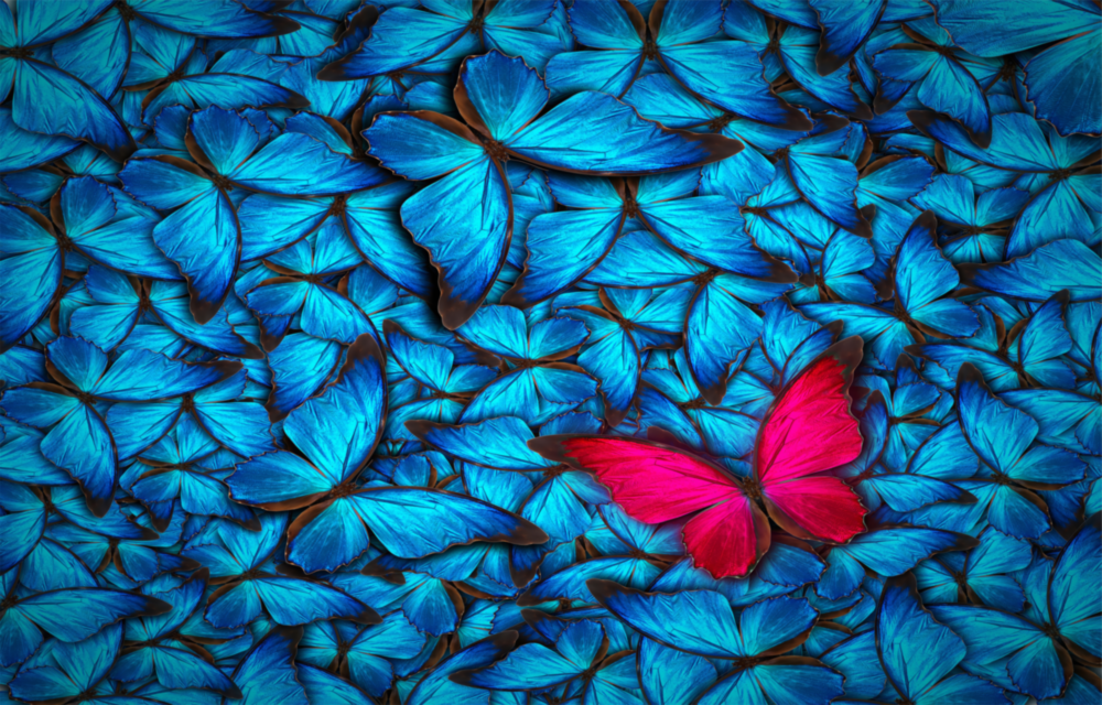 Butterfly Glass Wall Art