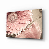 Marguerite Gerbera Rose Poudré Macro tableau en verre - 72x46 cm