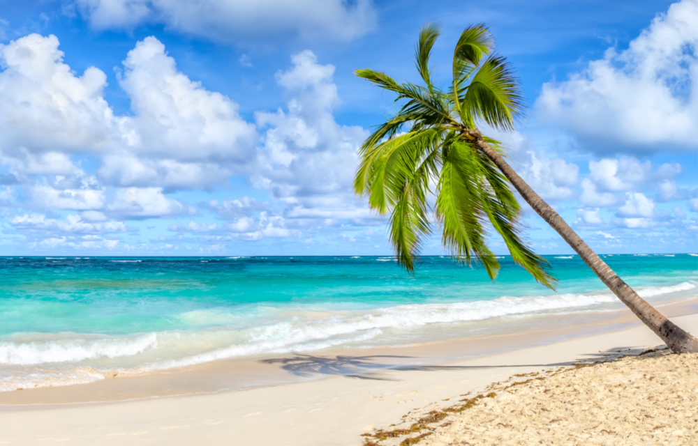 Arte della parete di vetro Vacanza