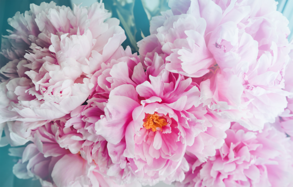 Flower Glass Wall Art