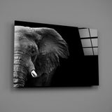 Elephant Glass Wall Art.