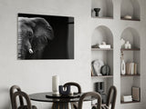 Elephant Glass Wall Art.