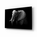 Elefante in Bianco e Nero Dettaglio dell'Orecchio quadro in vetro - 72x46 cm