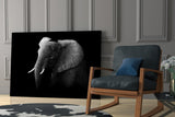 Elephant Glass Wall Art.