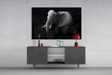 Elephant Glass Wall Art.
