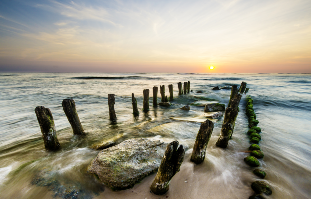 Arte della parete di vetro Dock