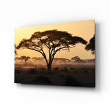 Acacia Savana Tramonto Dorato quadro in vetro - 72x46 cm