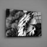 Black - White Flower Glass Wall Art.
