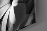 Black - White Flower Glass Wall Art.