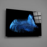 Blue Feather Glass Wall Art.